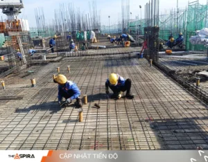 The Aspira 65 007.jpg