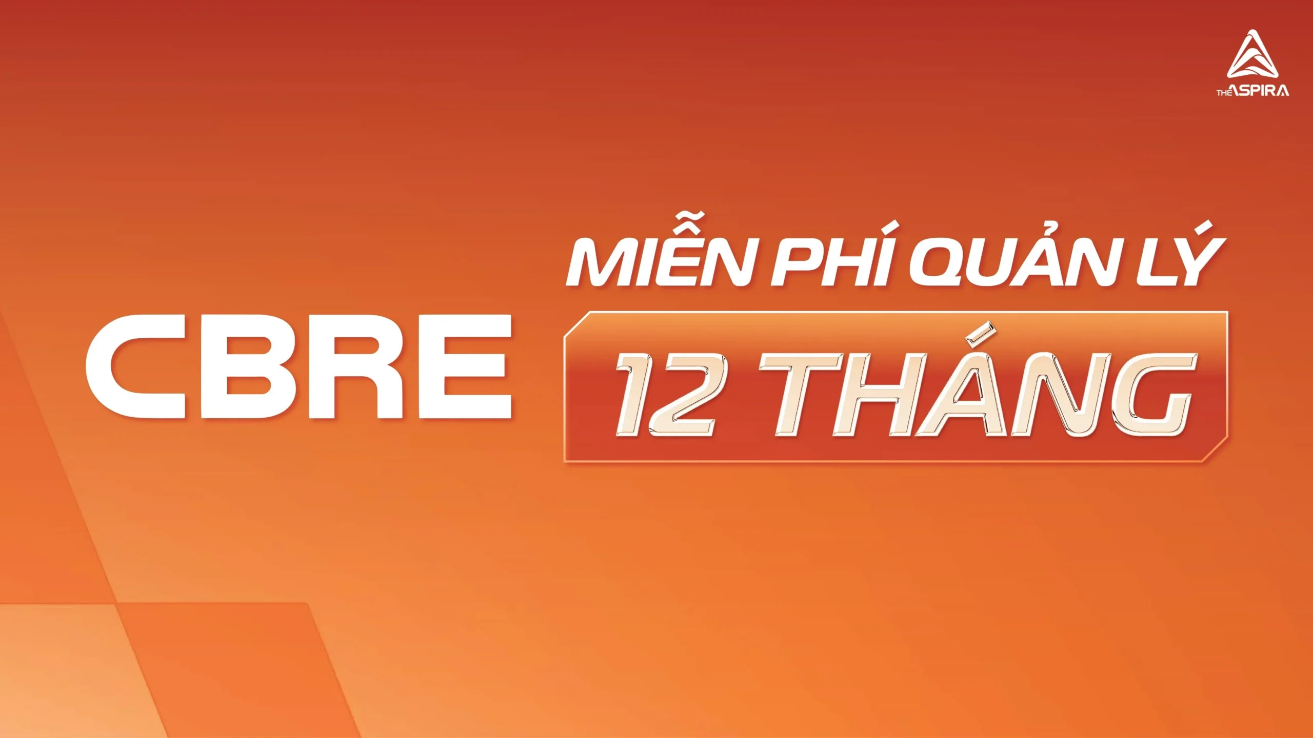 The Aspira 58 0024.jpg scaled