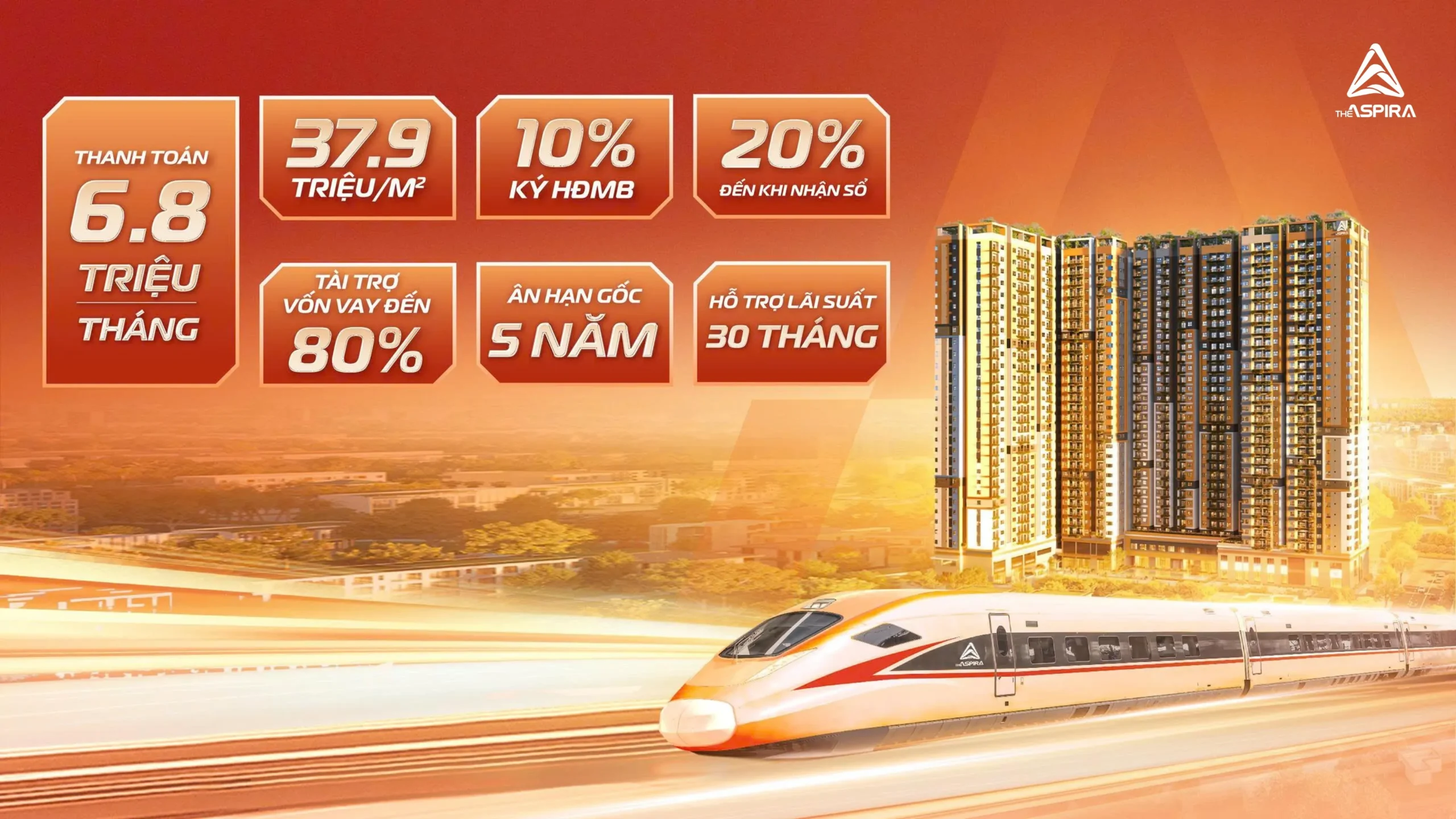 The Aspira 53 0061.jpg scaled