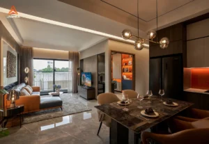 The Aspira 46 2PN 9.jpg